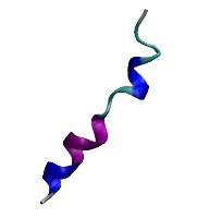 Cathelicidin LL-37 an AMP found in humans